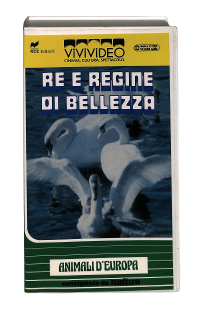 EBOND Re e Regine Di Bellezza Vivivideo VHS VH003970