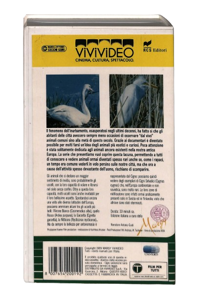 EBOND Re e Regine Di Bellezza Vivivideo VHS VH003970