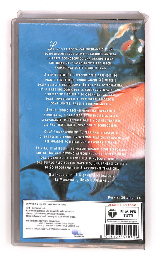 EBOND La Foresta In Fondo Al Mare Le Meraviglie Columbia Winners VHS VH004980