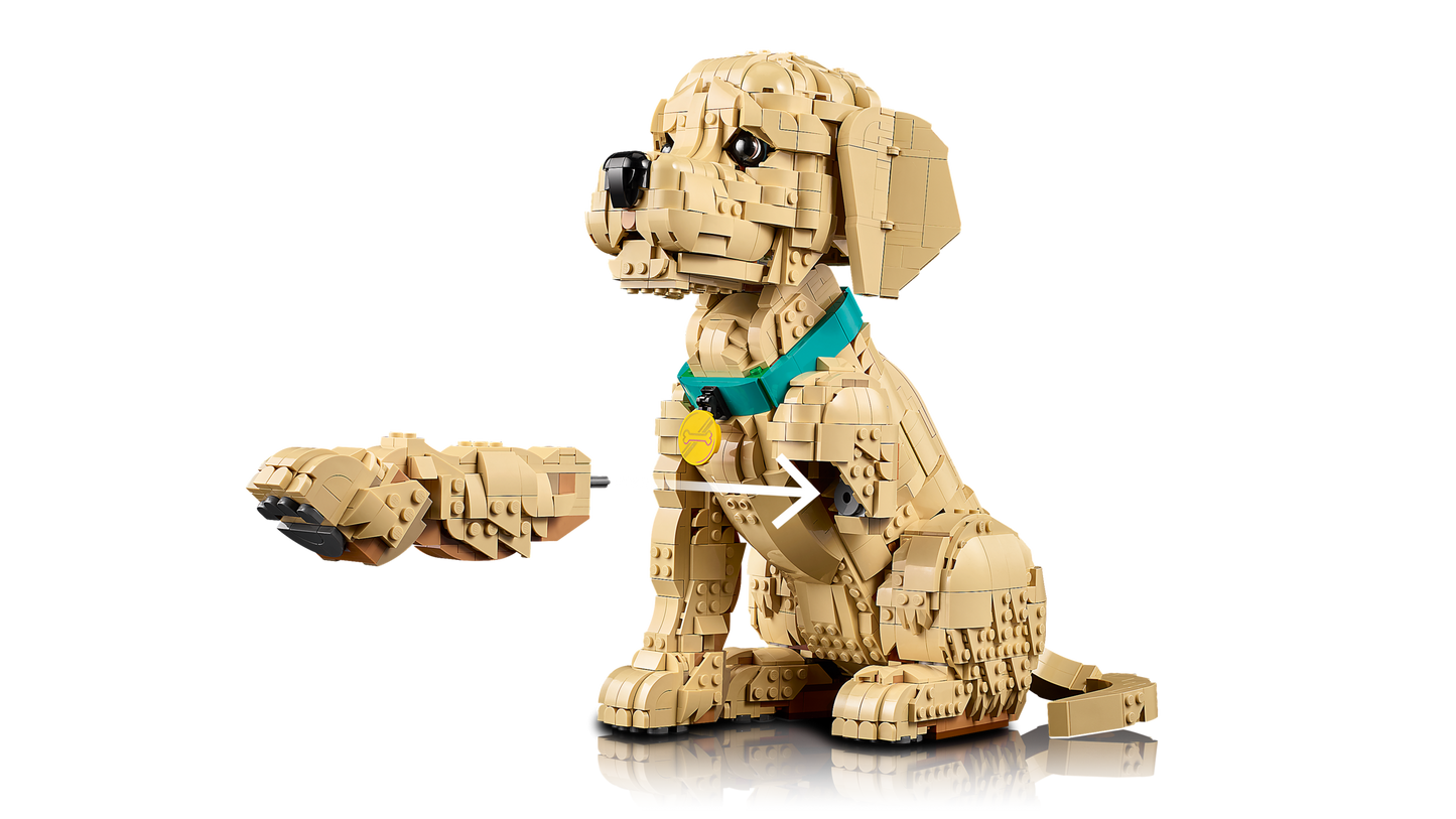 LEGO 11384 ICONS 11384