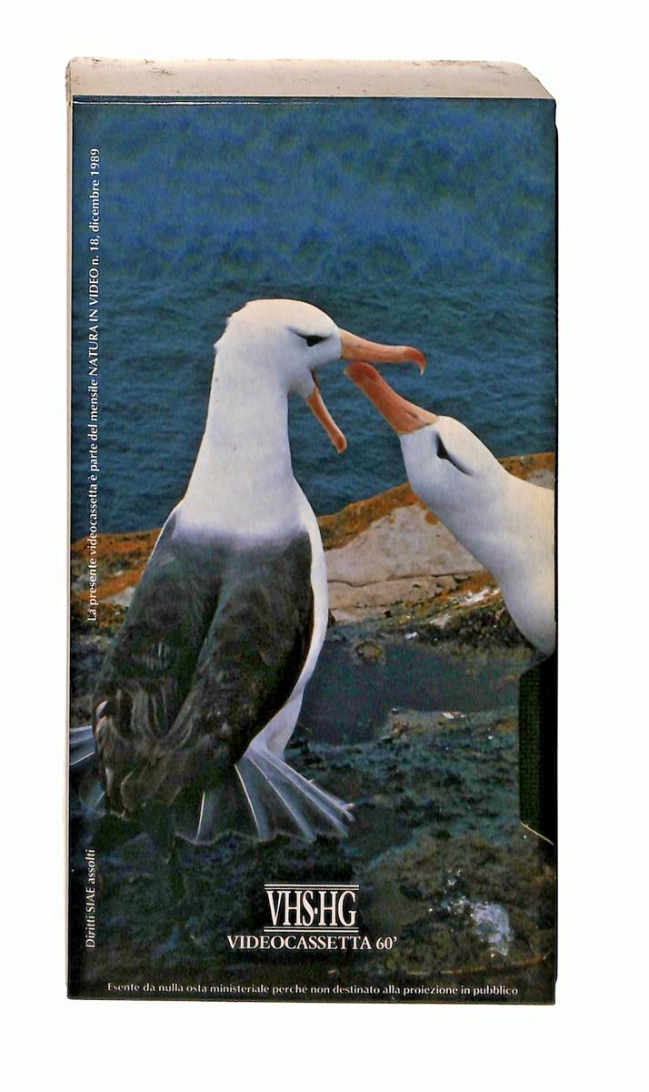 EBOND Natura Video N 18 Il Puma Animali e Valanghe VHS VH002933