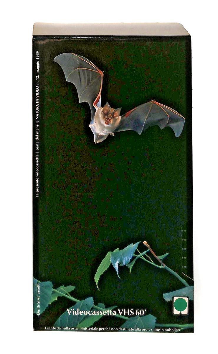 EBOND Natura In Video N 12 Le Volpi Volanti Camoscio Sicilia VHS VH003587