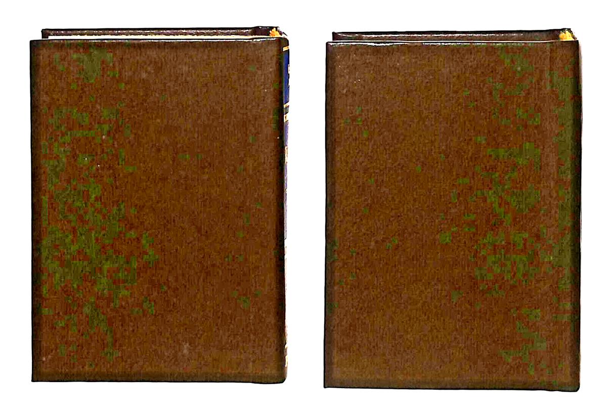 EBOND Mini Biblioteca Peruzzo I Racconti Del Terrore Volumi 1 e 2 Libro LI038591