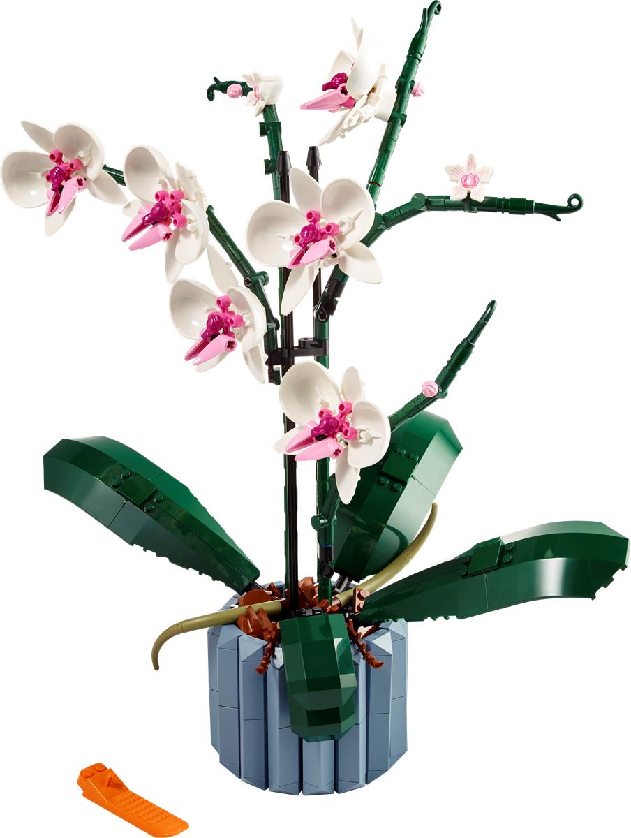 LEGO 10311  ICONS Orchidea