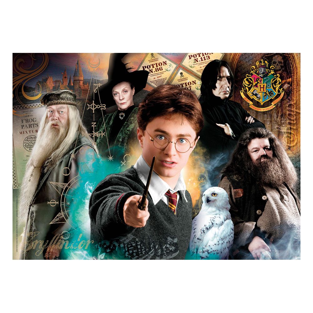 Harry Potter Jigsaw Puzzle Harry at Hogwarts (500 pieces) P035126