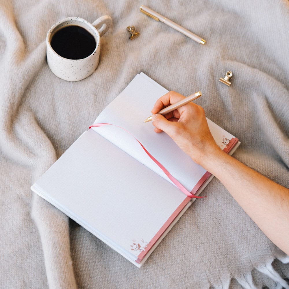 The Aristocats Premium Plush Notebook A5 Bonjour Marie P069322