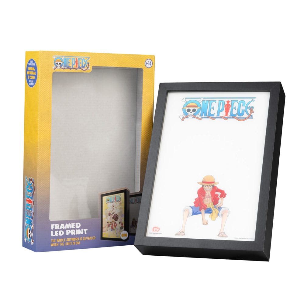 One Piece Framed LED Print P069356