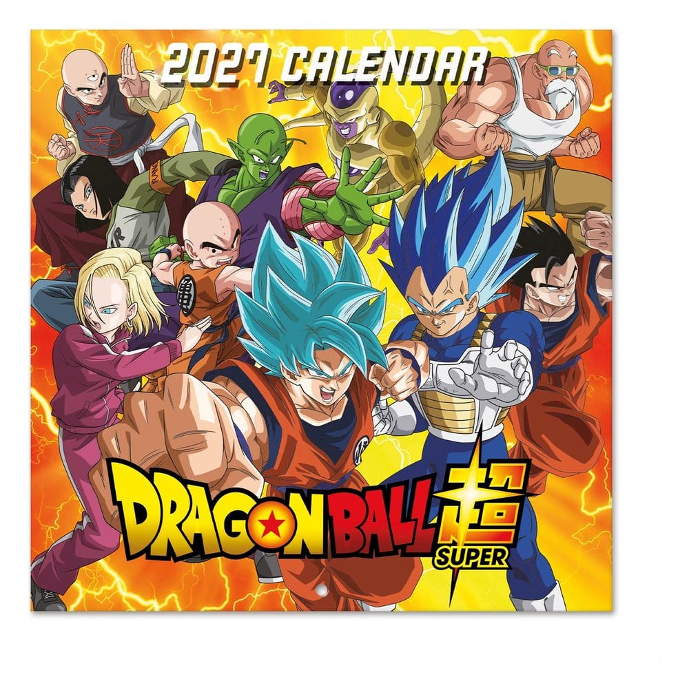 Dragon Ball 2027 Wall Calendar 30 x 30 cm P074887