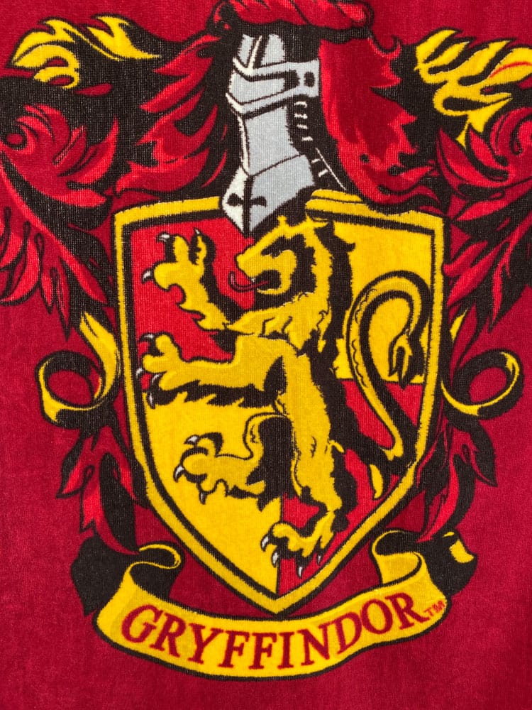 Harry Potter Towel Quidditch 150 x 75 cm P041995