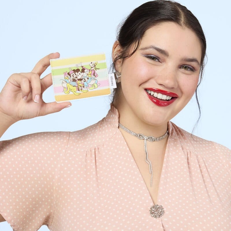 Disney by Loungefly Cardholder Mickey and Friends Rainbow Stripes P074254