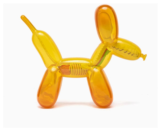 Funny Anatomy Honey Edition Balloon Dog Statue P064973