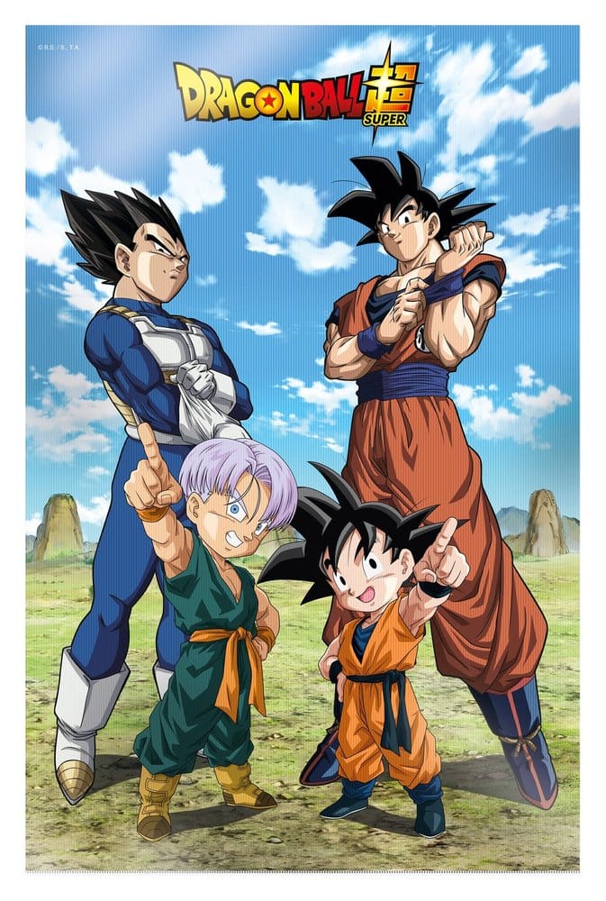Dragon Ball Super 3D Poster Battle of Gods Goku Vegeta Family 38 x 58 cm P071449