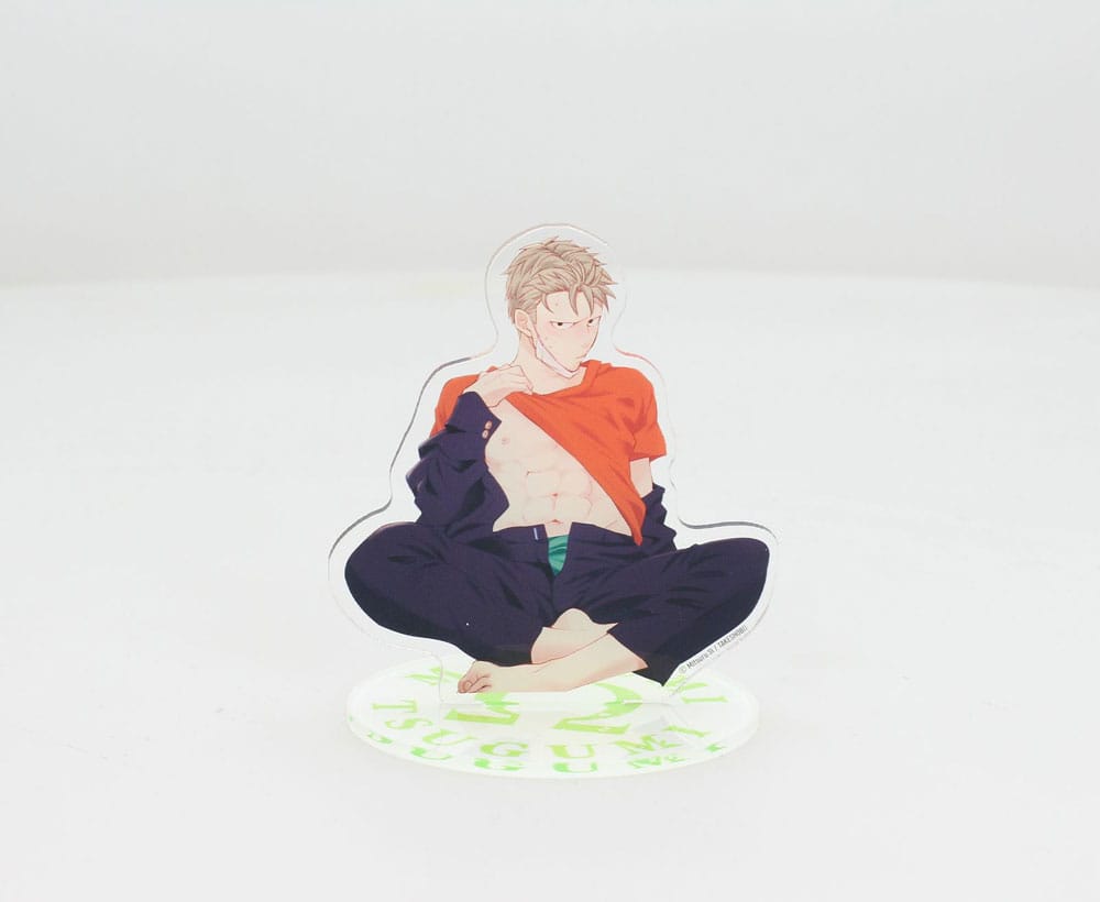 Megumi & Tsugumi Acrylic Figure Megumi 21 cm P058062