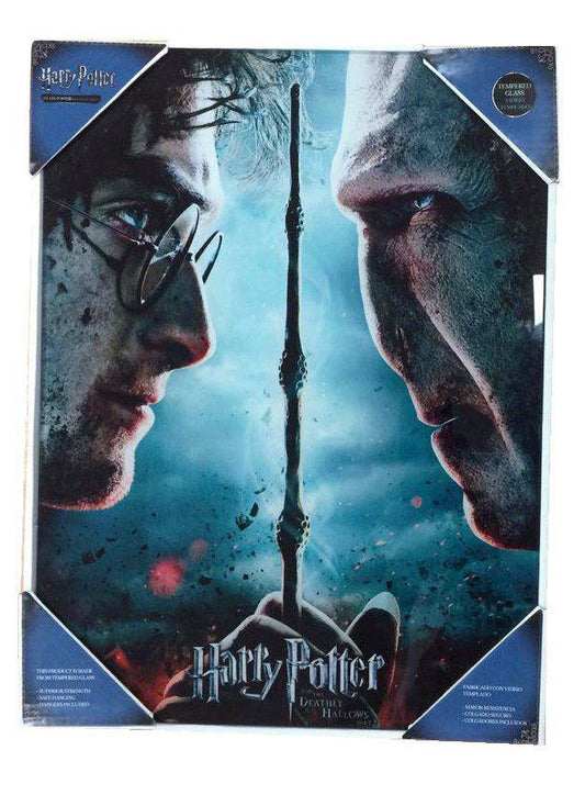 Harry Potter Glass Poster Harry & Voldemort 30 x 40 cm P066648