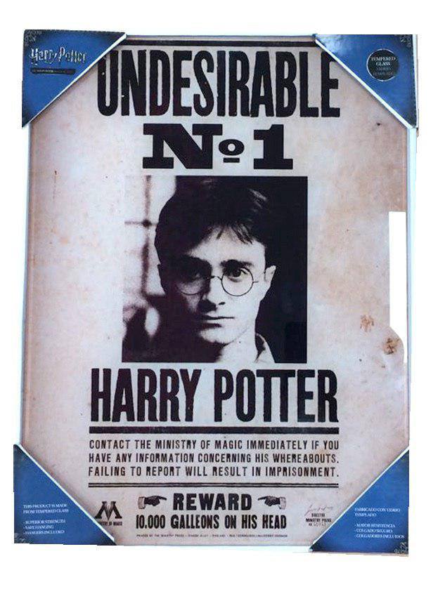 Harry Potter Glass Poster Undesirable No. 1 30 x 40 cm P066649