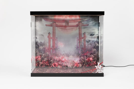 SHINSAI Acrylic Display Case with Lighting Inbina Rasethuhime Saki 39 cm P058682