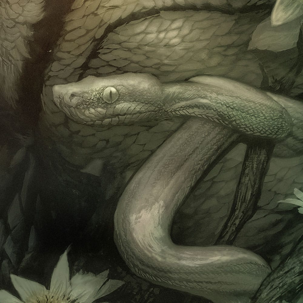 The Creature from the Black Lagoon Art Print Creature from the Black Lagoon by Dan Quintana 61 x 41 cm - unframed P067042