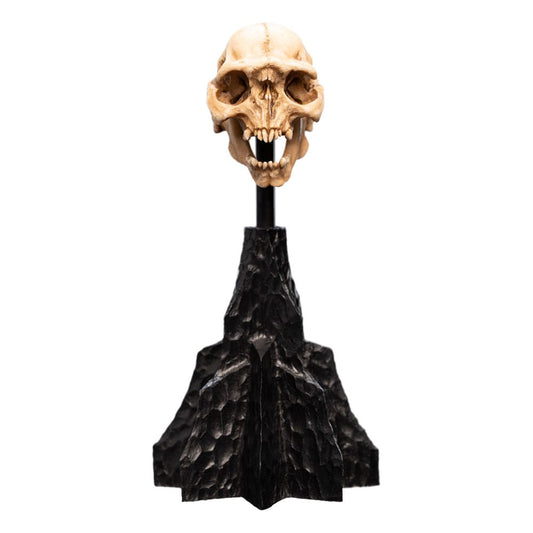 Lord of the Rings Mini Statue Skull of a Moria Orc 13 cm P062818