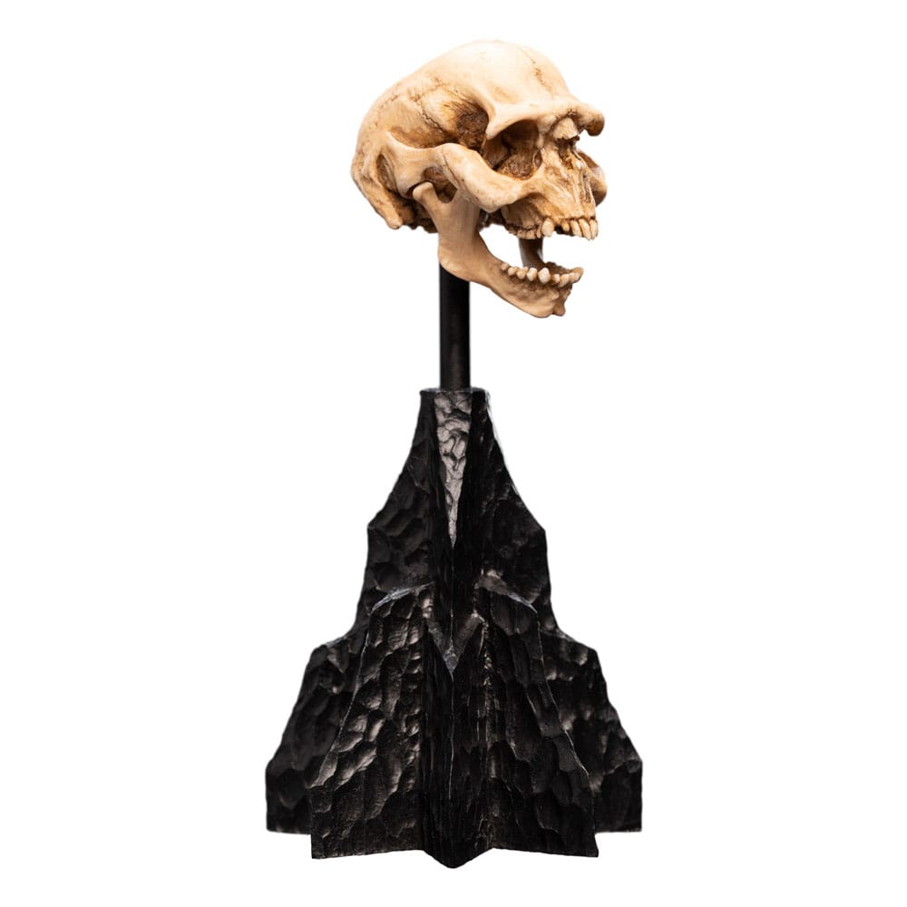 Lord of the Rings Mini Statue Skull of a Moria Orc 13 cm P062818