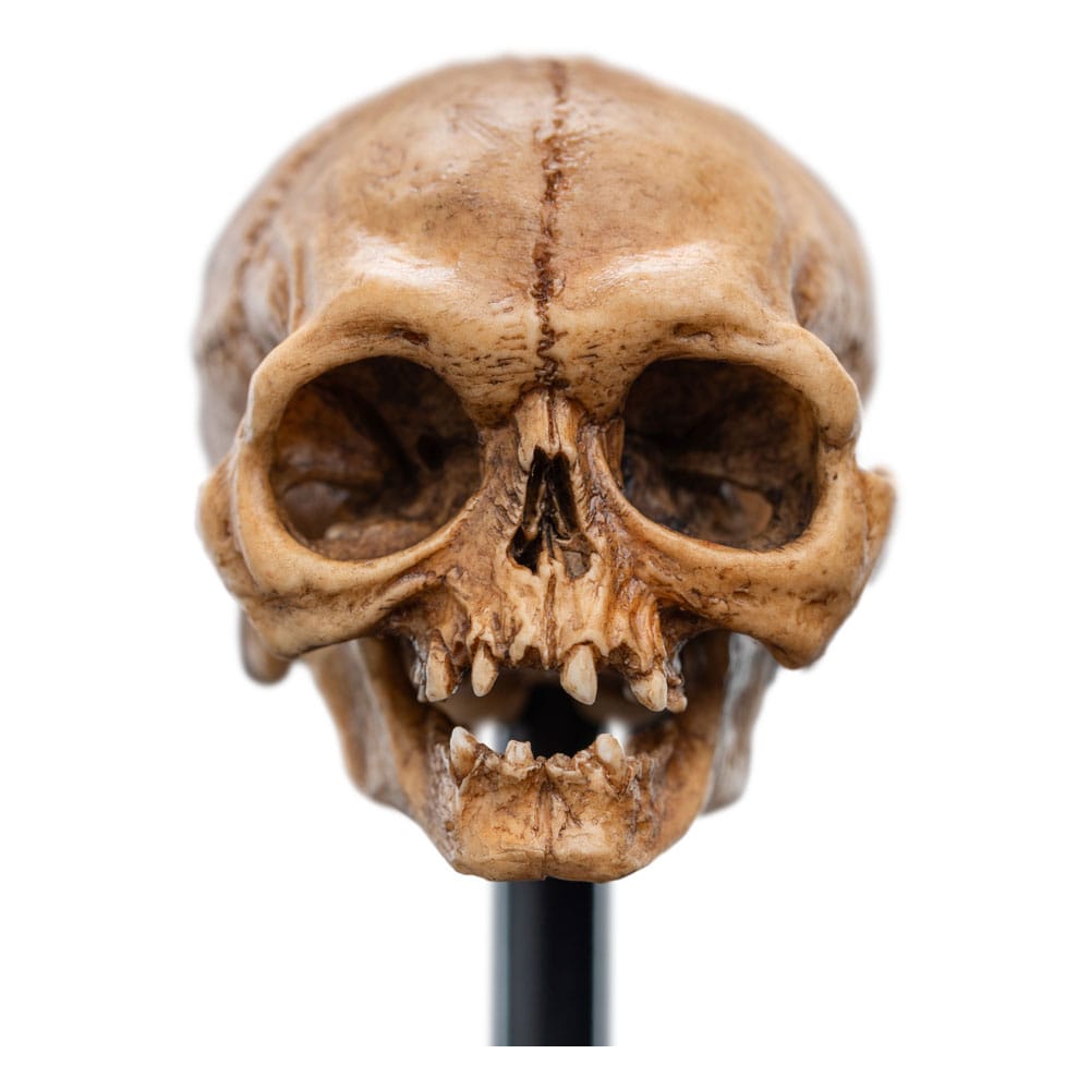 Lord of the Rings Mini Statue Skull of Gollum 13 cm P062819