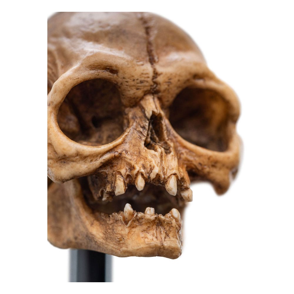 Lord of the Rings Mini Statue Skull of Gollum 13 cm P062819