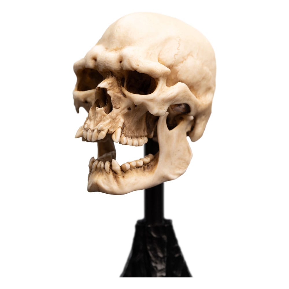 Lord of the Rings Mini Statue Skull of a Mordor Orc 14 cm P062821