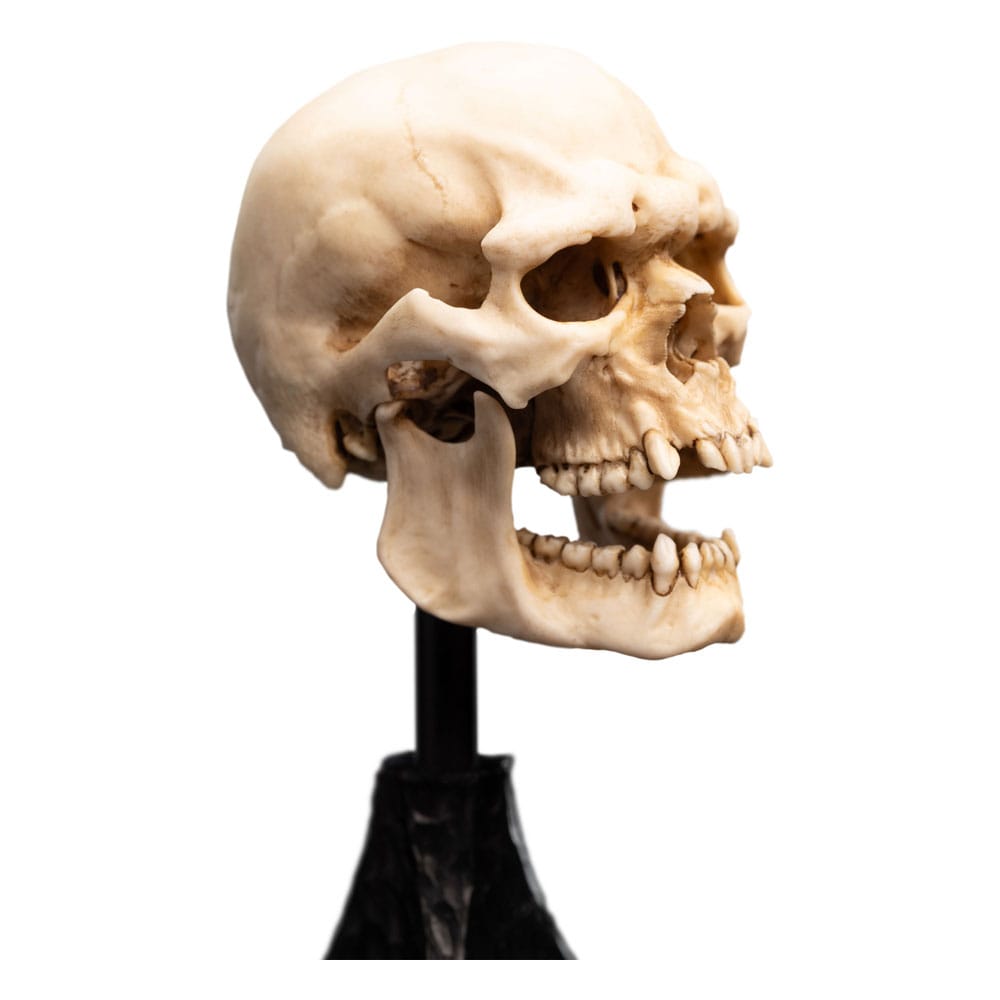 Lord of the Rings Mini Statue Skull of a Mordor Orc 14 cm P062821