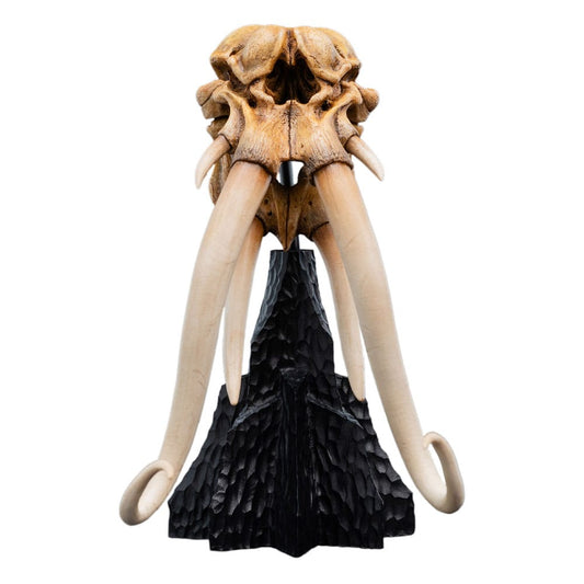 Lord of the Rings Mini Statue Skull of a Mumak 15 cm P062822