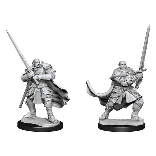 D&D Nolzur's Marvelous Miniatures Unpainted Miniatures Half-Orc Paladin Male Case (2) P063104