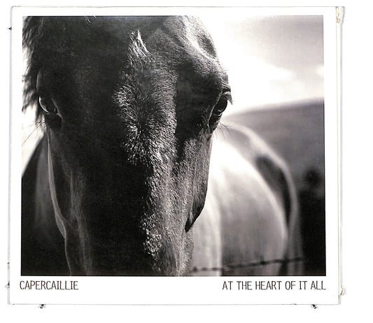 EBOND Capercaillie - At The Heart Of It All DIGIPACK CD CD098849