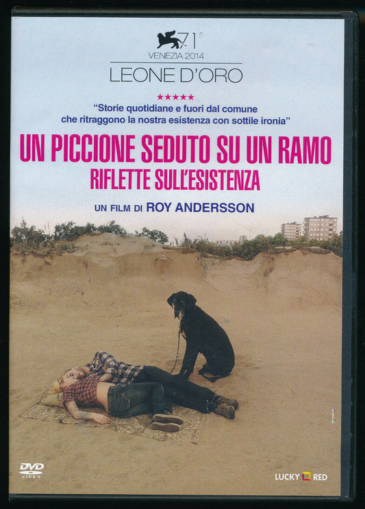 EBOND Un Piccione Seduto Su Un Ramo Riflette Sull'esistenza DVD D479009