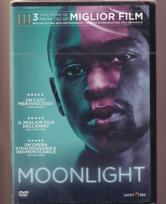 EBOND Moonlight DVD D494015