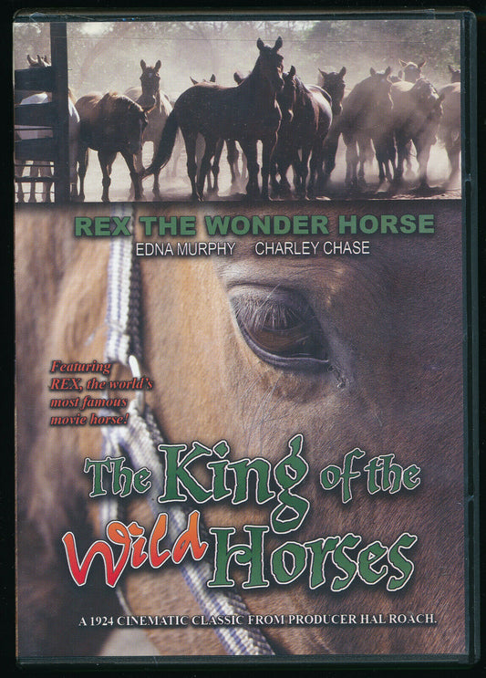EBOND  King Of The Wild Horses  DVD D557315