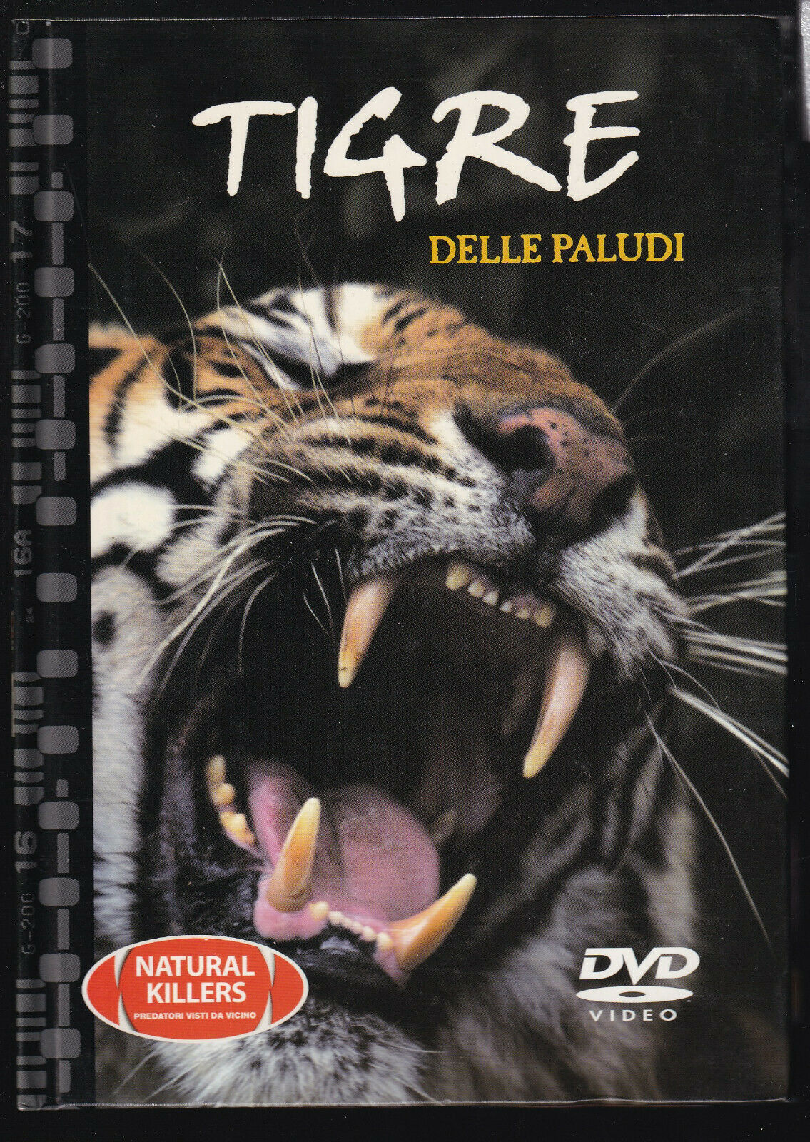 EBOND Tigre Delle Paludi  DVD Editoriale D558122