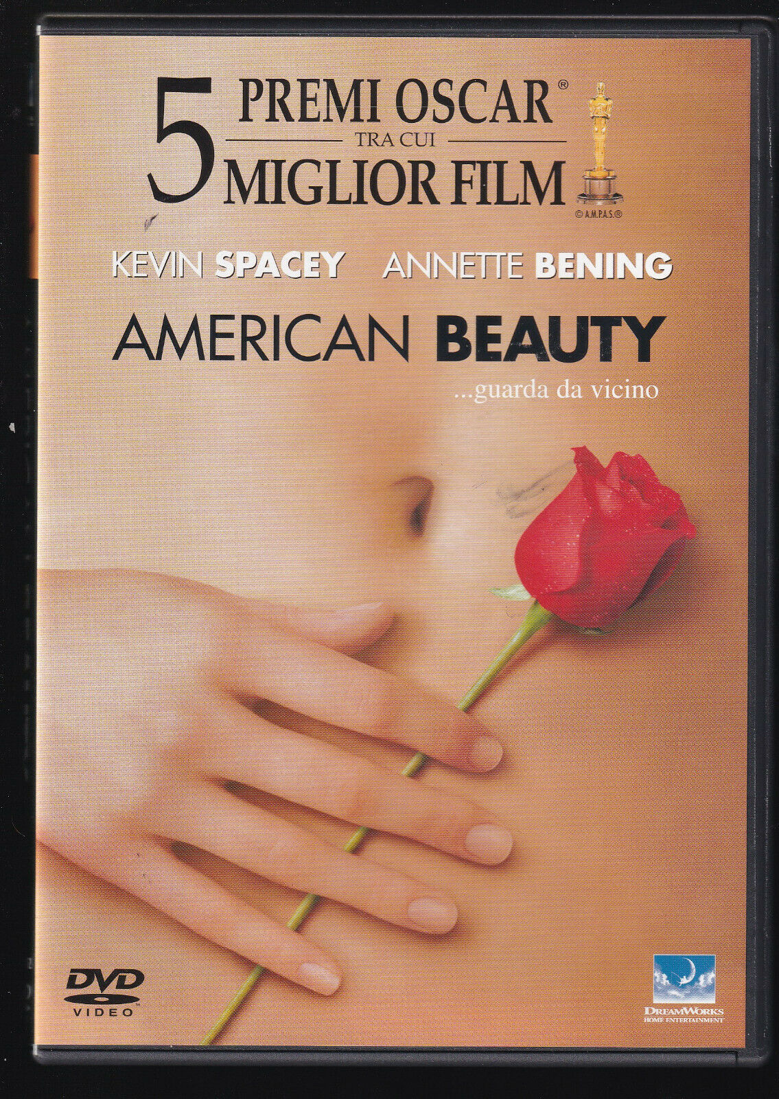 EBOND American Beauty  DVD D558664