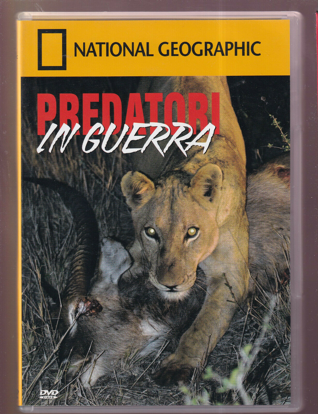 EBOND Predatori In Guerra  DVD D560633