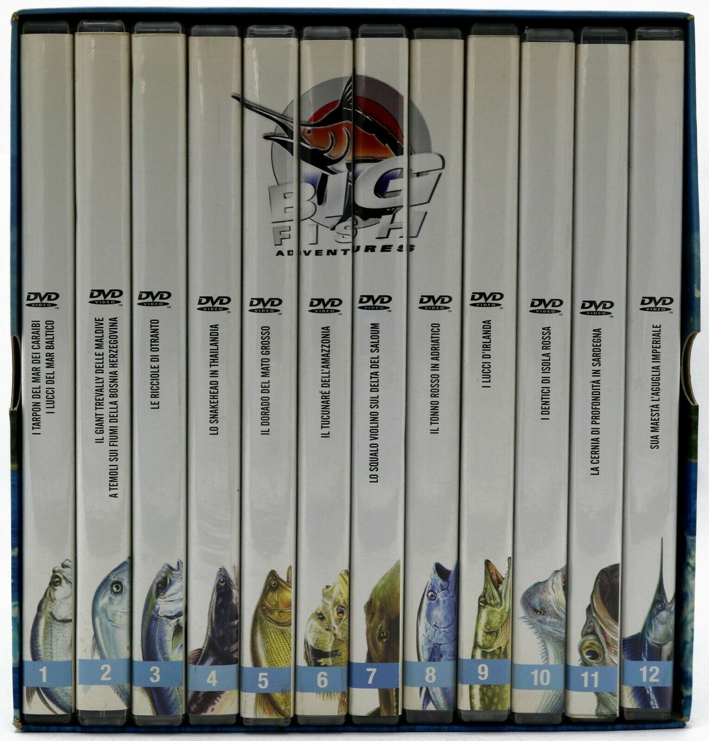 EBOND Big Fish Adventures Prima Edizione 12 DVD D574002