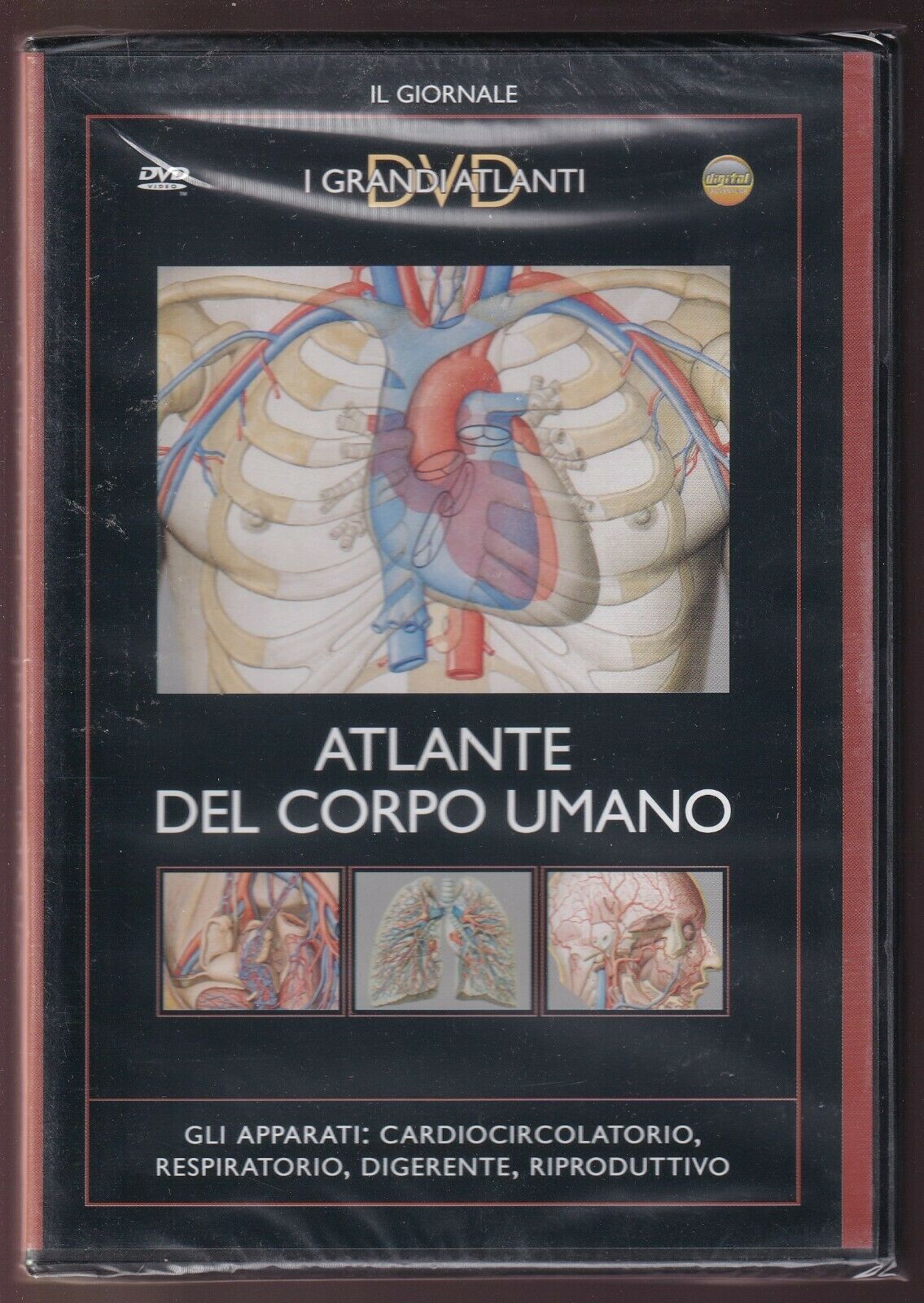 EBOND Atlante Del Corpo Umano DVD Editoriale D576403
