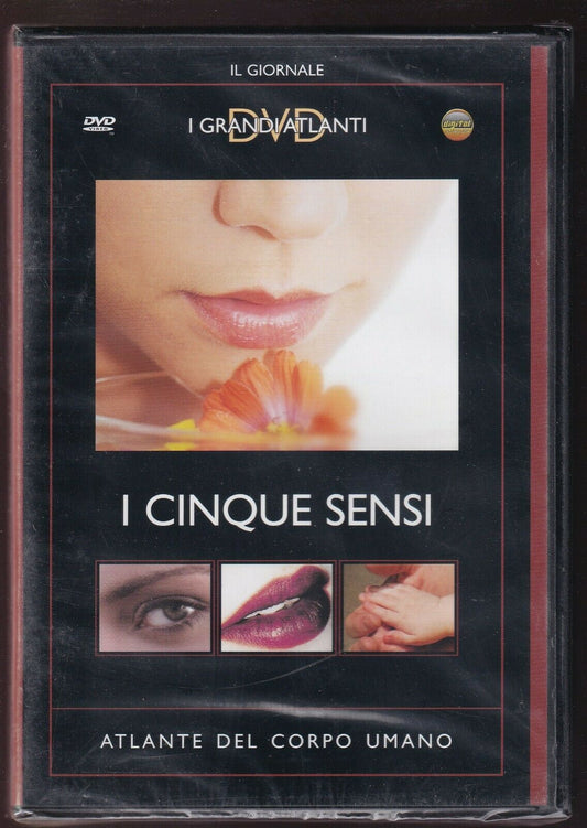 EBOND I Cinque Sensi - Atlante Del Corpo Umano DVD Editoriale D577202