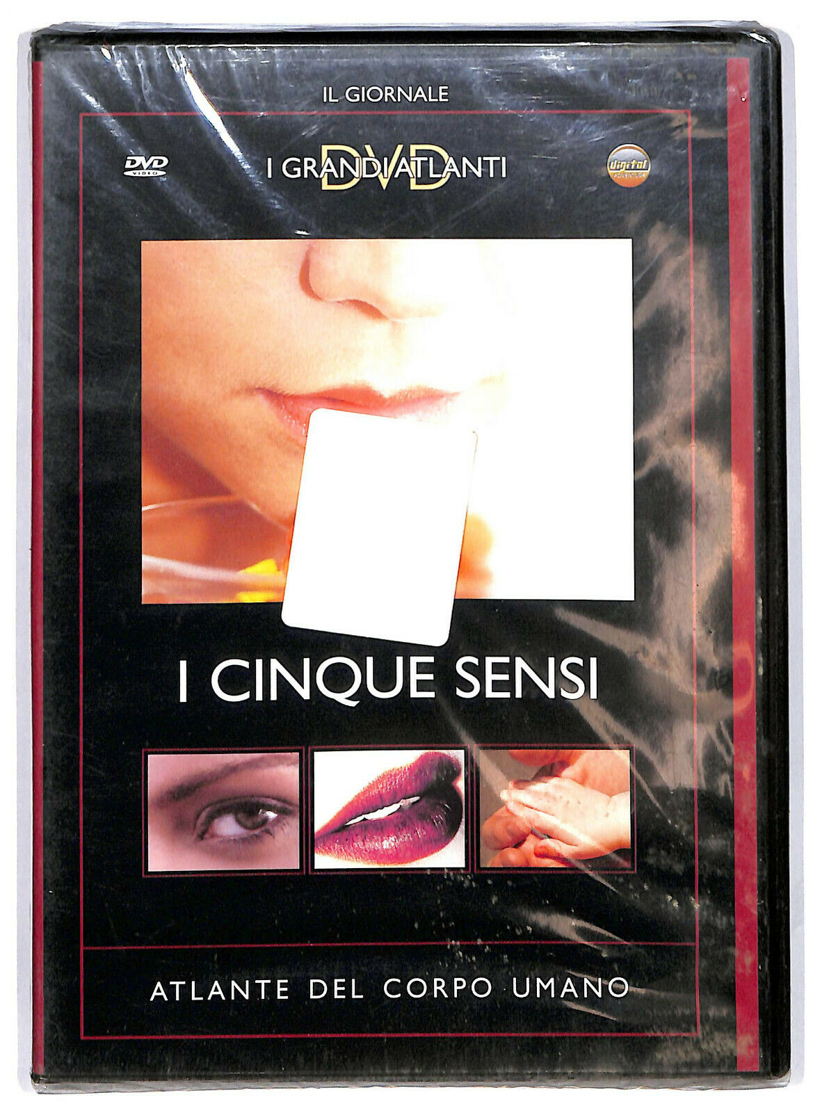 EBOND  I Cinque Sensi. Atlante Del Corpo Umano DVD  Editoriale D583240