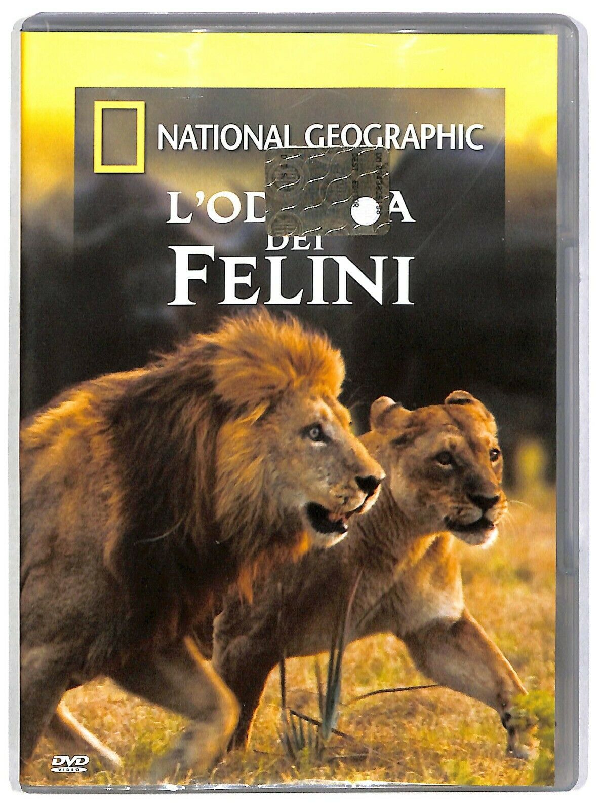 EBOND L'odissea Dei Felini - National Geographic Vol.112 DVD D583304