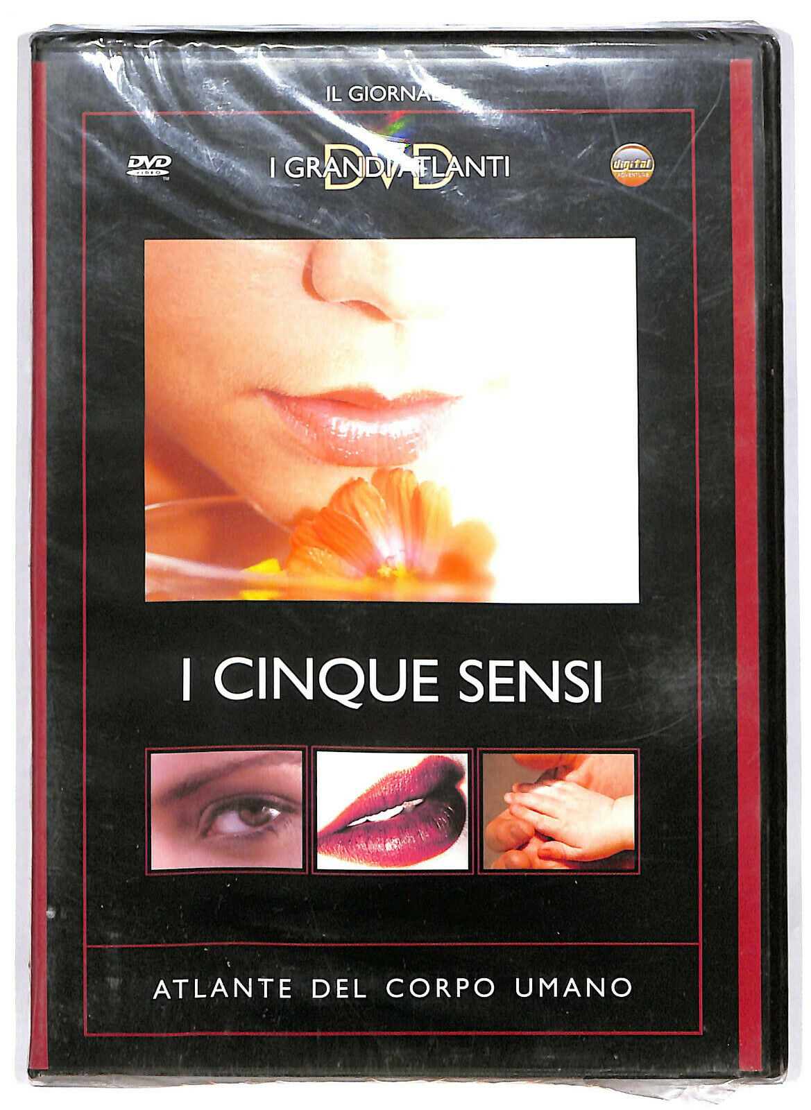 EBOND I Cinque Sensi. Atlante Del Corpo Umano  DVD Editoriale D583502