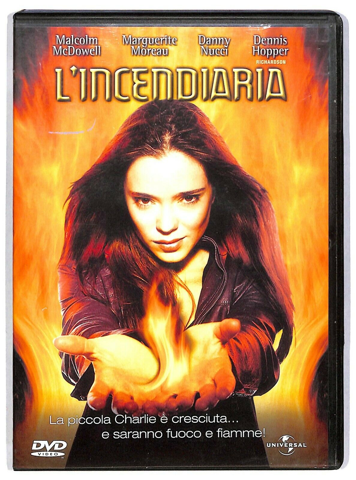 EBOND L'incendiaria (2002) Di Robert Iscove DVD D583818