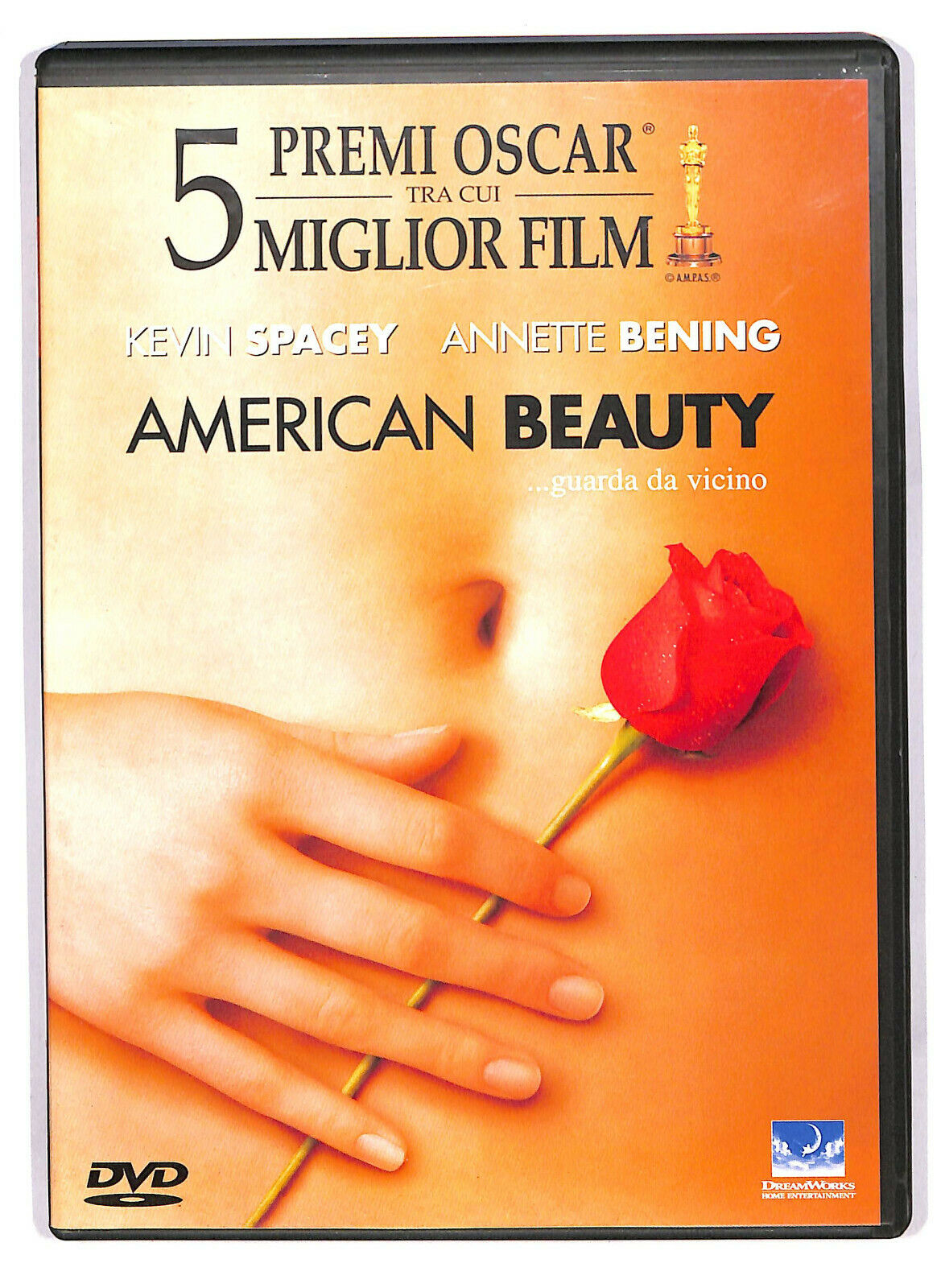 EBOND  American Beauty DVD D585323