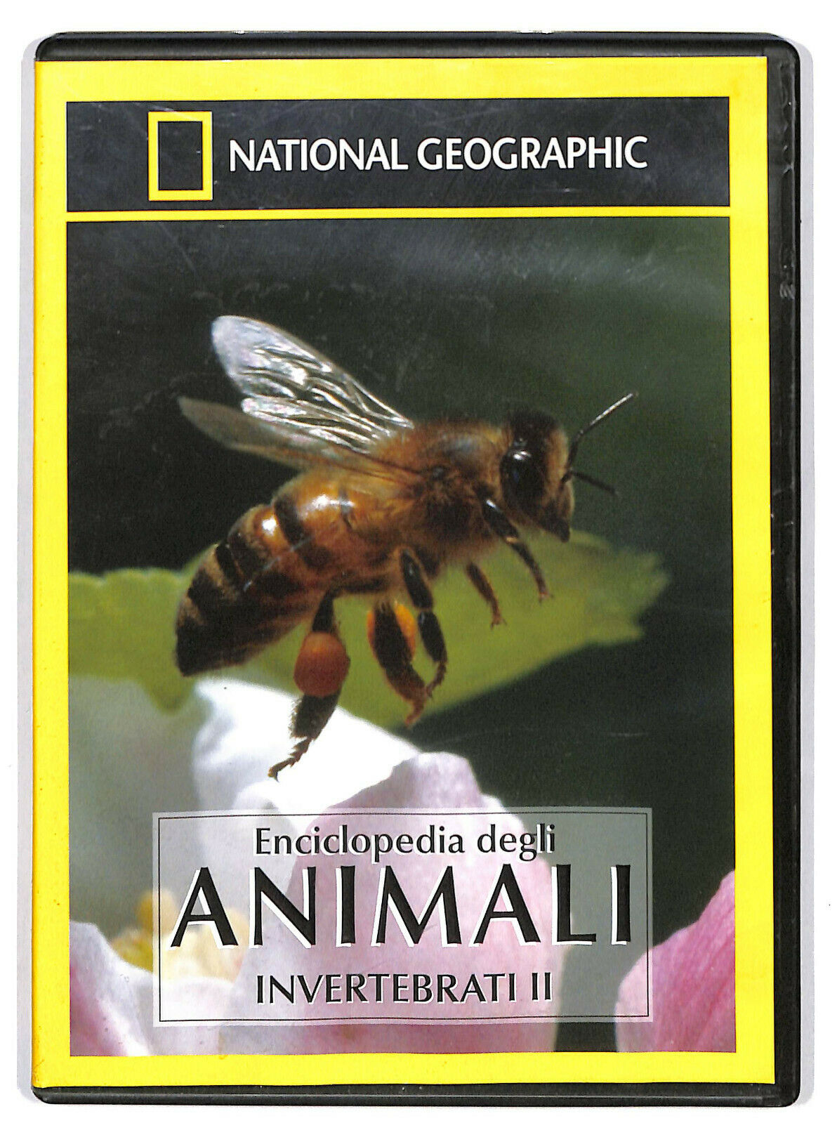 EBOND National Geogr Calabroni Giganti Piccoli Mostri All'attacco 20 DVD D594242