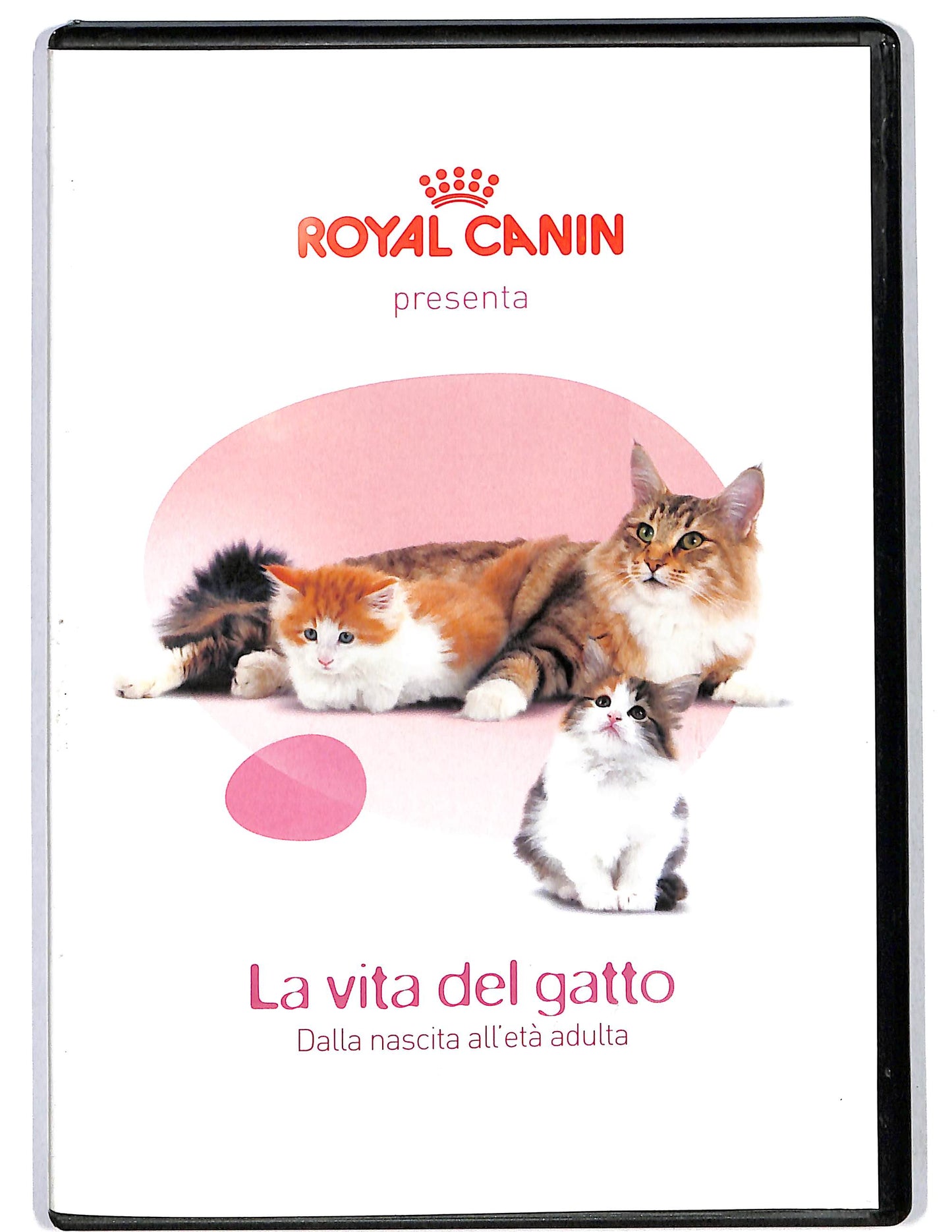 EBOND La vita del gatto - dalla nascita all'eta adulta EDITORIALE DVD D625341