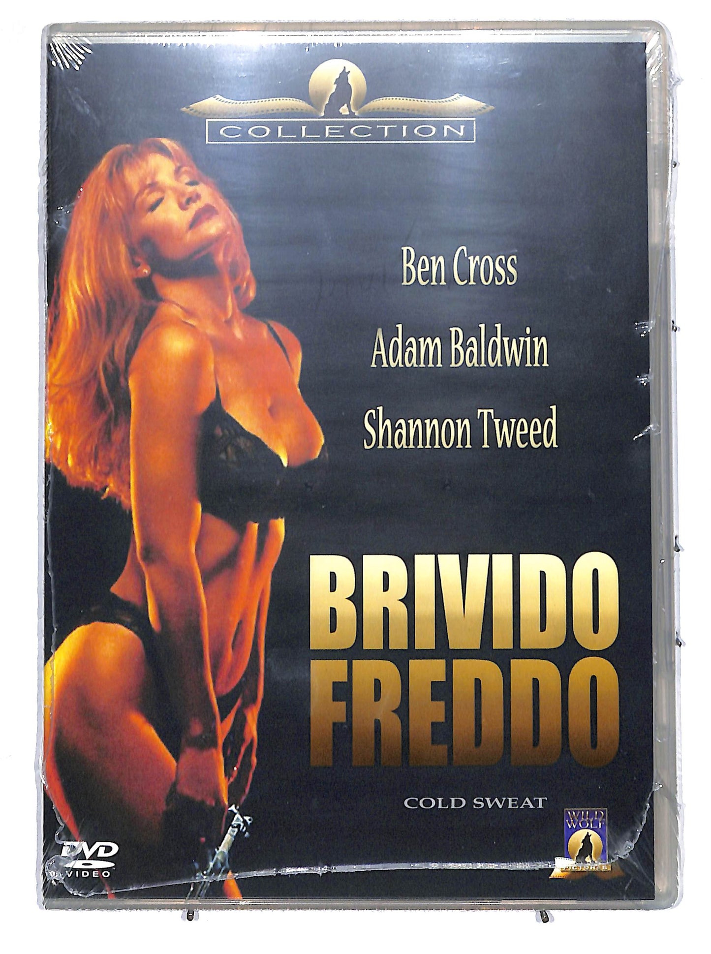EBOND brivido freddo DVD D626504