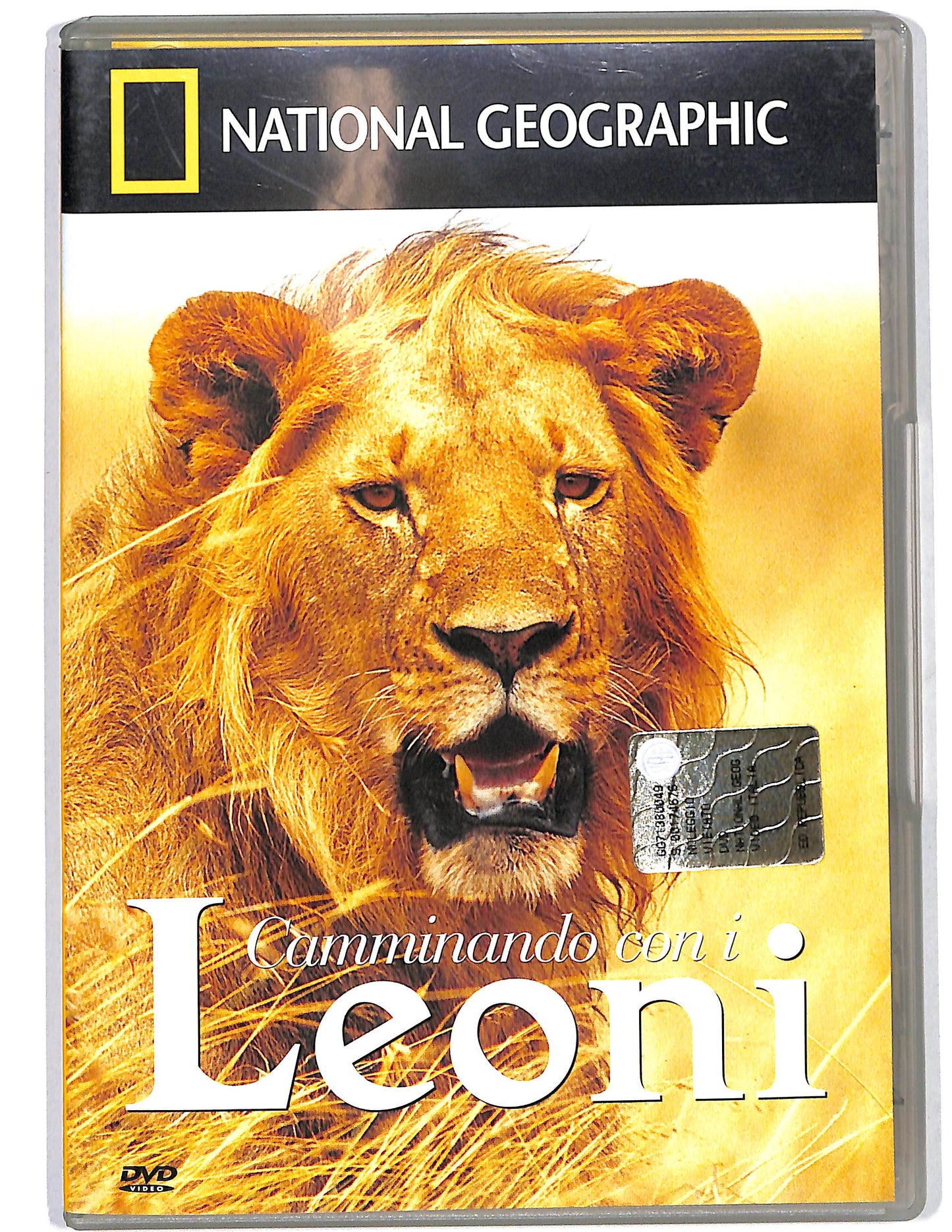 EBOND National Gepgraphic Comunicando con i leoni DVD D628015