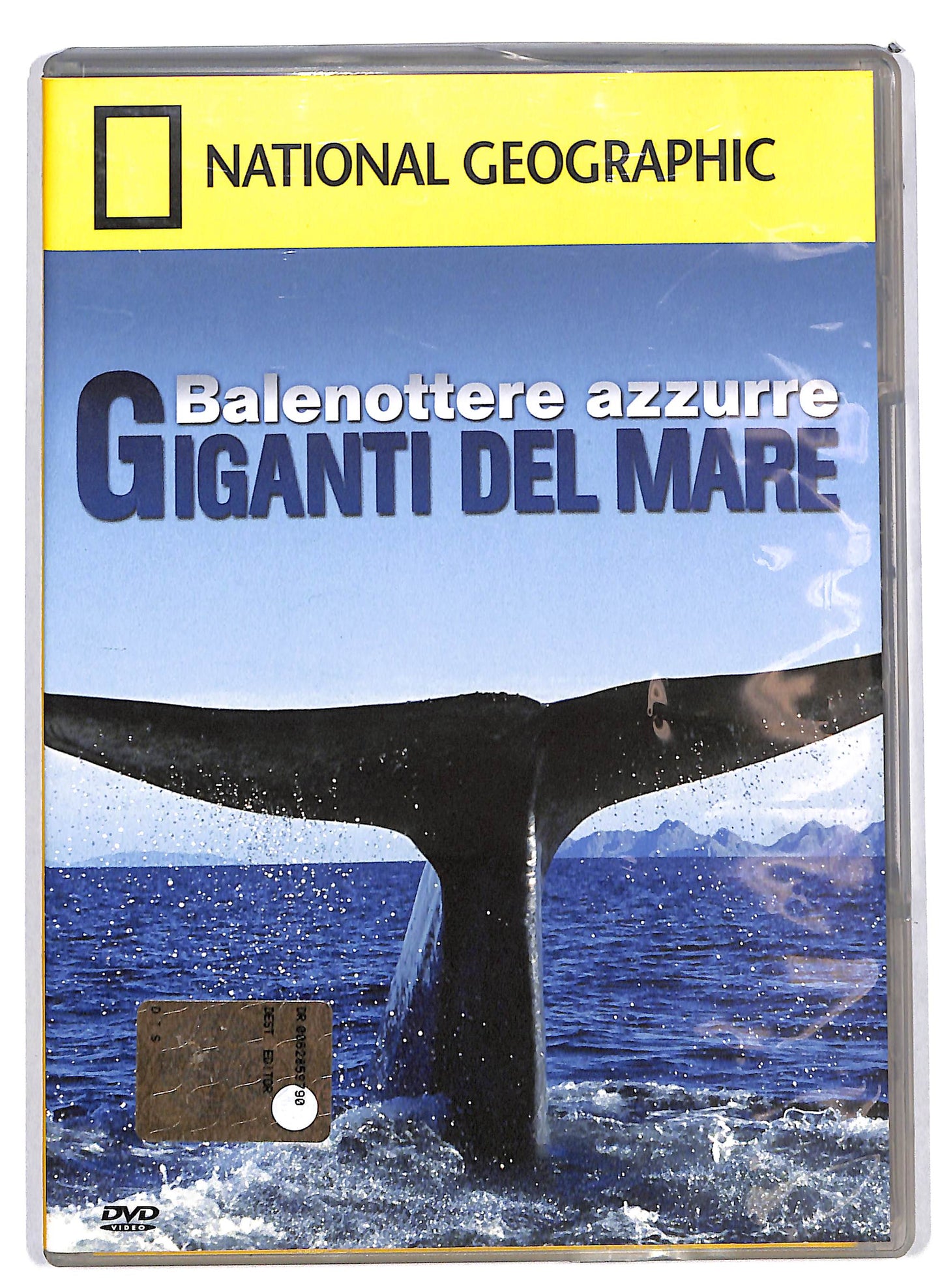 EBOND National geographic Balenottere azzurre giganti del mare vol.79 EDITORIALE DVD D630525