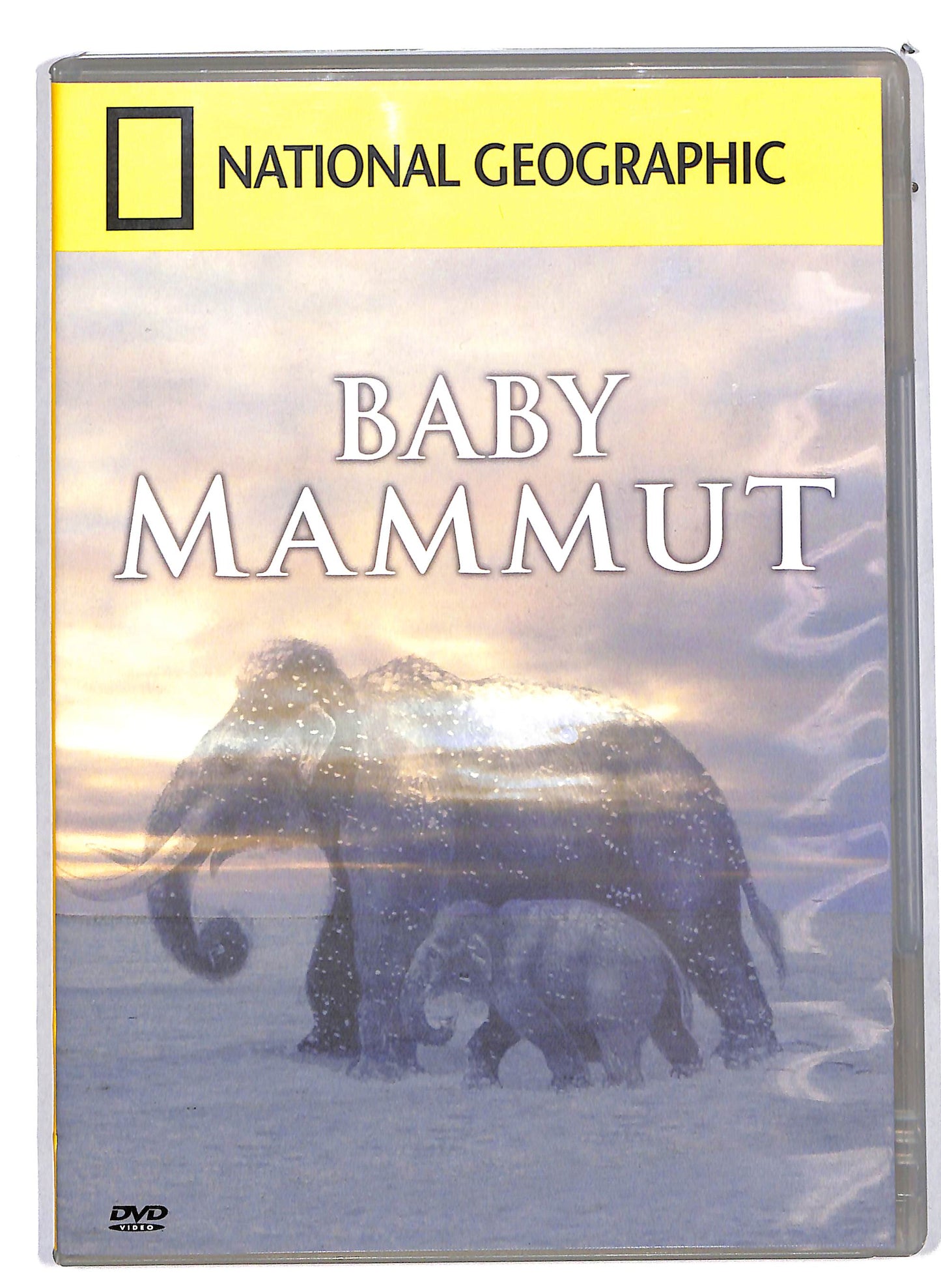 EBOND Baby mammut Vol.76  EDITORIALE DVD D630561